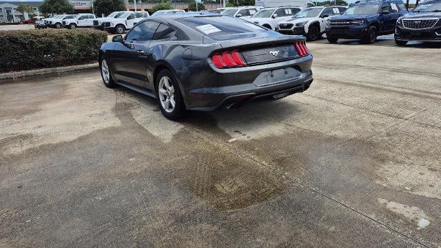 2019 Ford Mustang EcoBoost