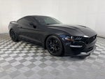 2019 Mustang Thumbnail 1