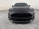 2019 Mustang Thumbnail 2