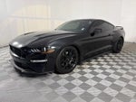 2019 Mustang Thumbnail 3