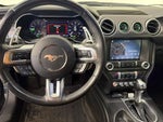 2019 Mustang Thumbnail 13