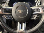 2019 Mustang Thumbnail 15