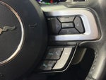 2019 Mustang Thumbnail 17