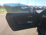2019 Mustang Thumbnail 19