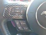 2019 Mustang Thumbnail 33