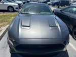 2019 Mustang Thumbnail 2