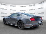 2019 Mustang Thumbnail 5
