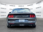 2019 Mustang Thumbnail 6