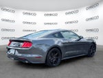 2019 Mustang Thumbnail 7