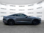 2019 Mustang Thumbnail 8
