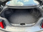 2019 Mustang Thumbnail 12