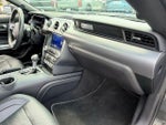 2019 Mustang Thumbnail 15