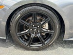 2019 Mustang Thumbnail 16