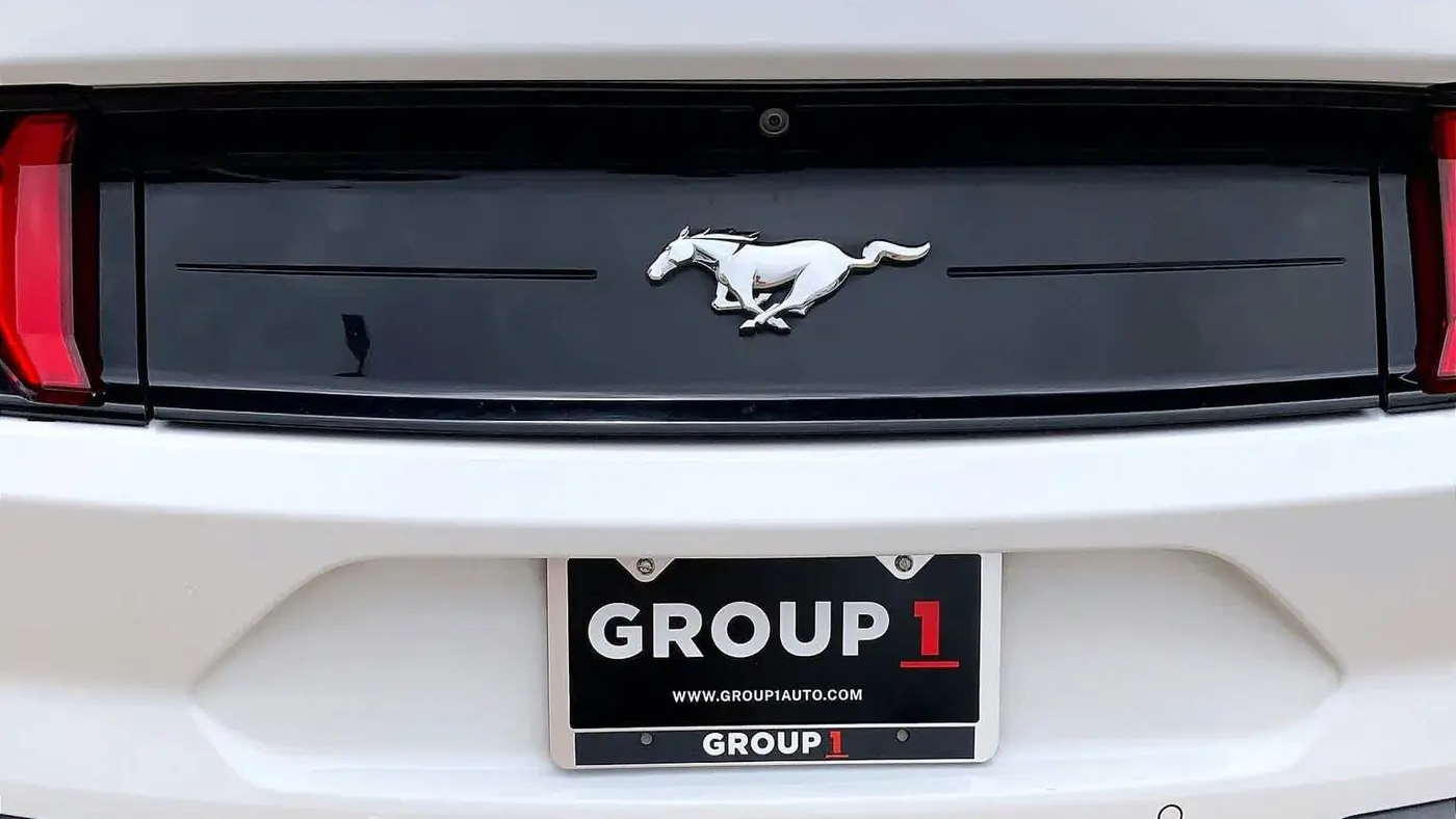 2019 Ford Mustang EcoBoost