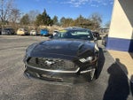 2019 Mustang Thumbnail 3