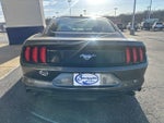2019 Mustang Thumbnail 6