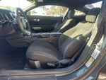 2019 Mustang Thumbnail 9