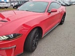 2019 Mustang Thumbnail 3