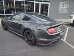 2020 Mustang Thumbnail 8