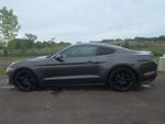 2020 Mustang Thumbnail 14
