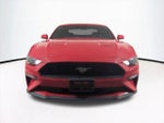 2021 Mustang Thumbnail 3