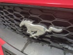 2021 Mustang Thumbnail 13
