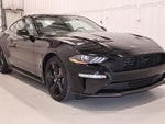 2021 Mustang Thumbnail 4