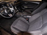 2021 Mustang Thumbnail 29