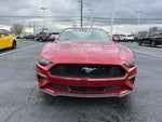 2021 Mustang Thumbnail 3