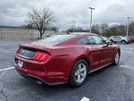 2021 Mustang Thumbnail 7