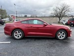 2021 Mustang Thumbnail 8