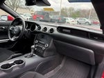 2021 Mustang Thumbnail 17