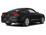 2021 Mustang Thumbnail 2