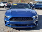 2022 Mustang Thumbnail 19