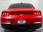2024 Mustang Thumbnail 4