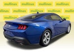 2024 Mustang Thumbnail 4