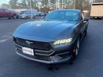 2024 Mustang Thumbnail 3