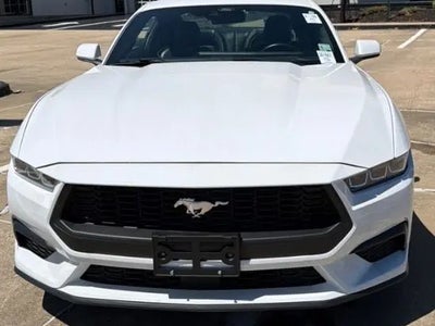 2024 Ford Mustang Ecoboost 2DR Fastback