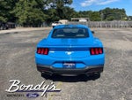 2024 Mustang Thumbnail 13