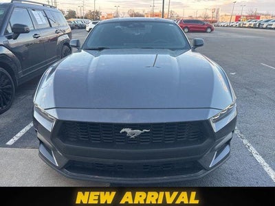 2024 Ford Mustang Ecoboost 2DR Fastback