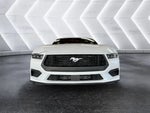 2024 Mustang Thumbnail 20