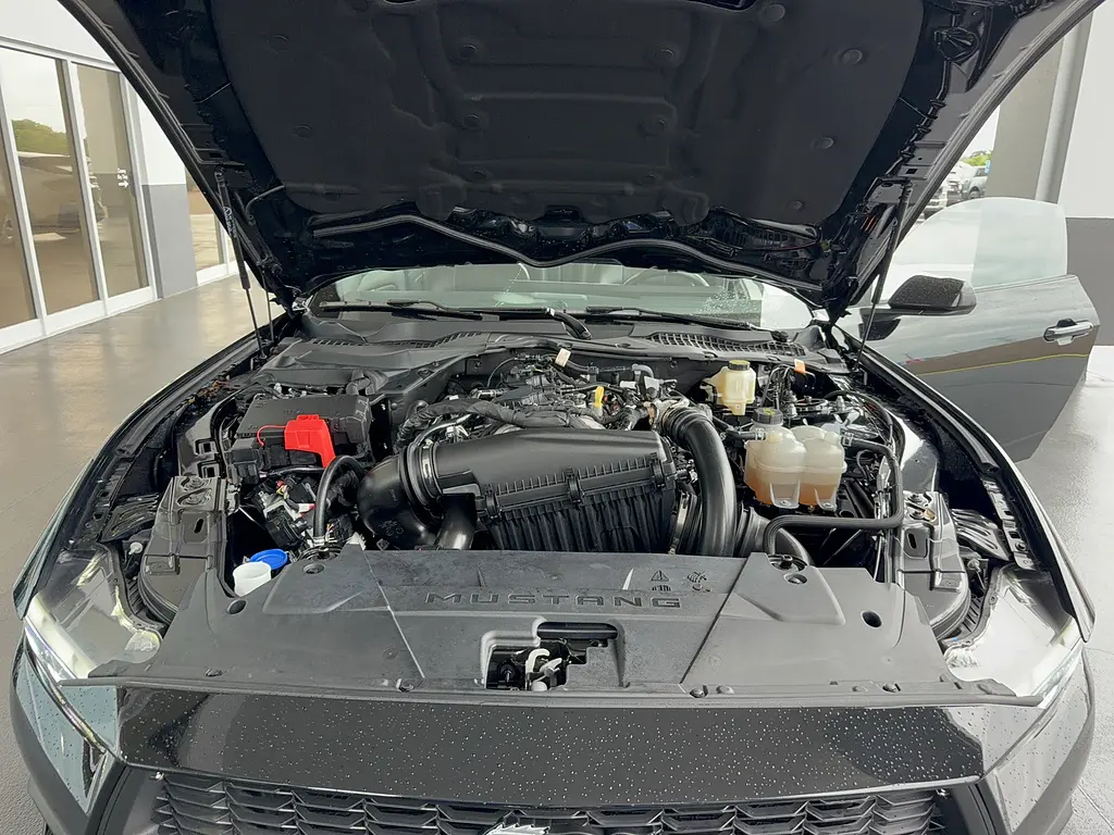 2024 Ford Mustang - $36,995