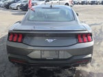 2025 Mustang Thumbnail 4
