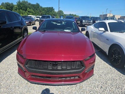 Photo of a 2025 Ford Mustang Ecoboost Premium 2DR Fastback for sale