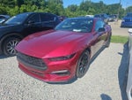2025 Mustang Thumbnail 3
