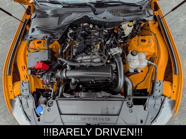 2026 Ford Mustang - $31,959