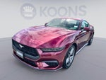 2026 Mustang Thumbnail 1