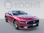 2026 Mustang Thumbnail 2