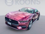 2026 Mustang Thumbnail 4
