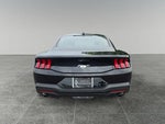 2026 Mustang Thumbnail 4